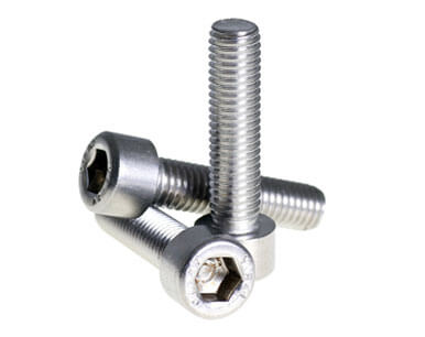 Stainless Steel 304L Bolts