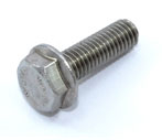 Stainless Steel 317 Flange Bolt