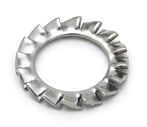 Stainless Steel 310S Lock Washer 